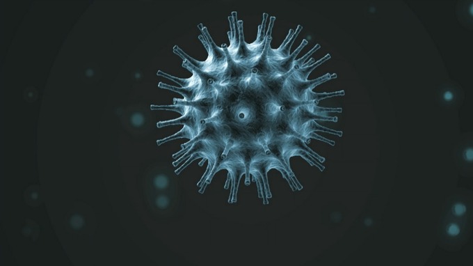 Chi è stato a diffondere il CoronaVirus e che significa il nome COVID-19
