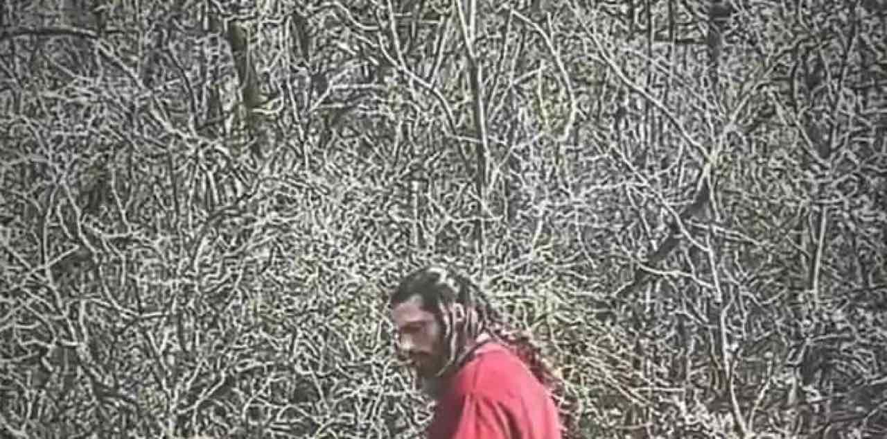 Can Yaman incanta con la sua bellezza mozzafiato: nuova foto de El Turco con migliaia di like