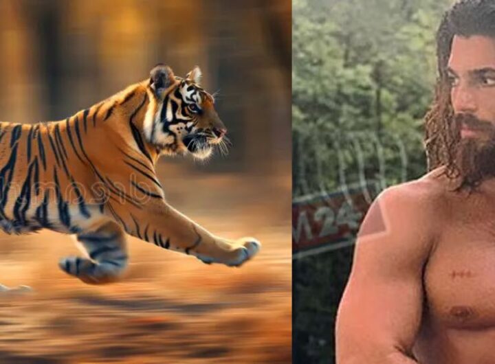 Can Yaman in sandokan scena della tigre - chiechiera.it